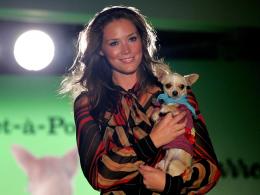 Модата за кучета се глобализира