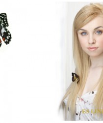 Денис Димитрова